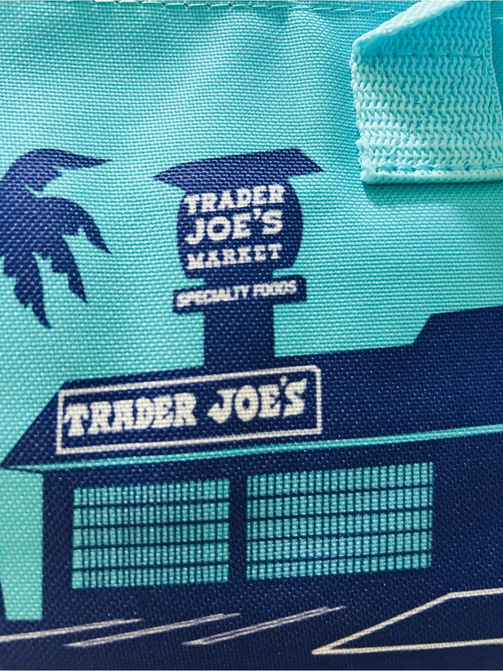Trader Joe's Mini Insulated Tote Summer Fun Collection Blue Pink NWT